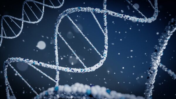 helice adn blanche sur fond bleu lors d'un test ADN